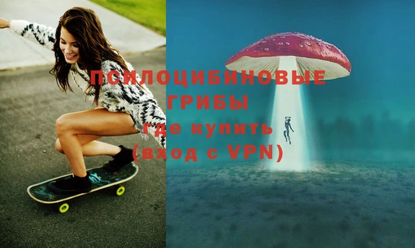 бошки Богородицк