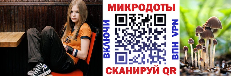 наркота  это телеграм  Галлюциногенные грибы Psilocybe  Гурьевск 